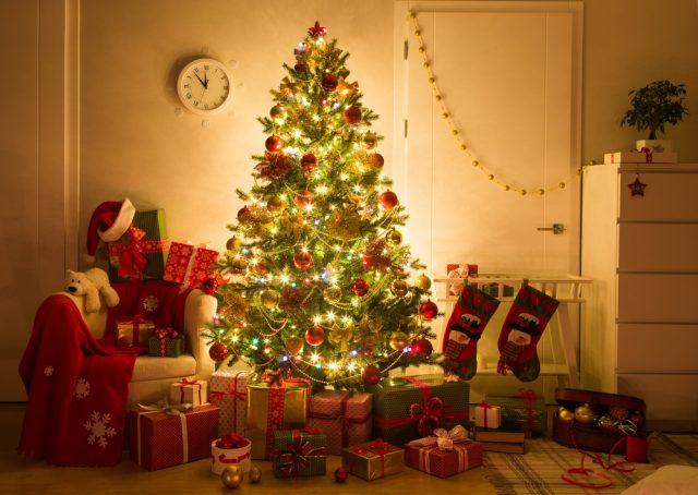 L'albero di Natale: un simbolo delle festività natalizie, sempre al passo con la moda